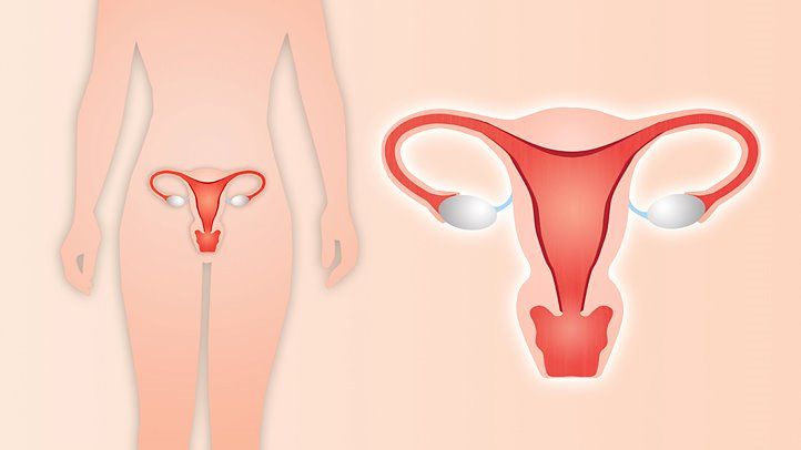 unnecessary hysterectomy lawsuit texas