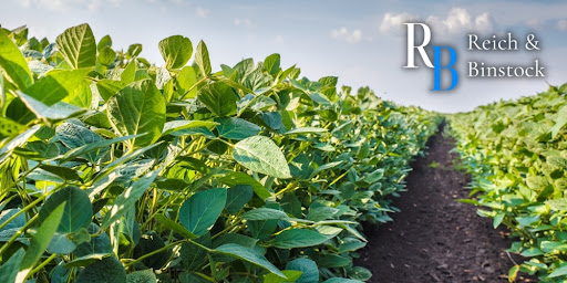 paraquat lawyer texas